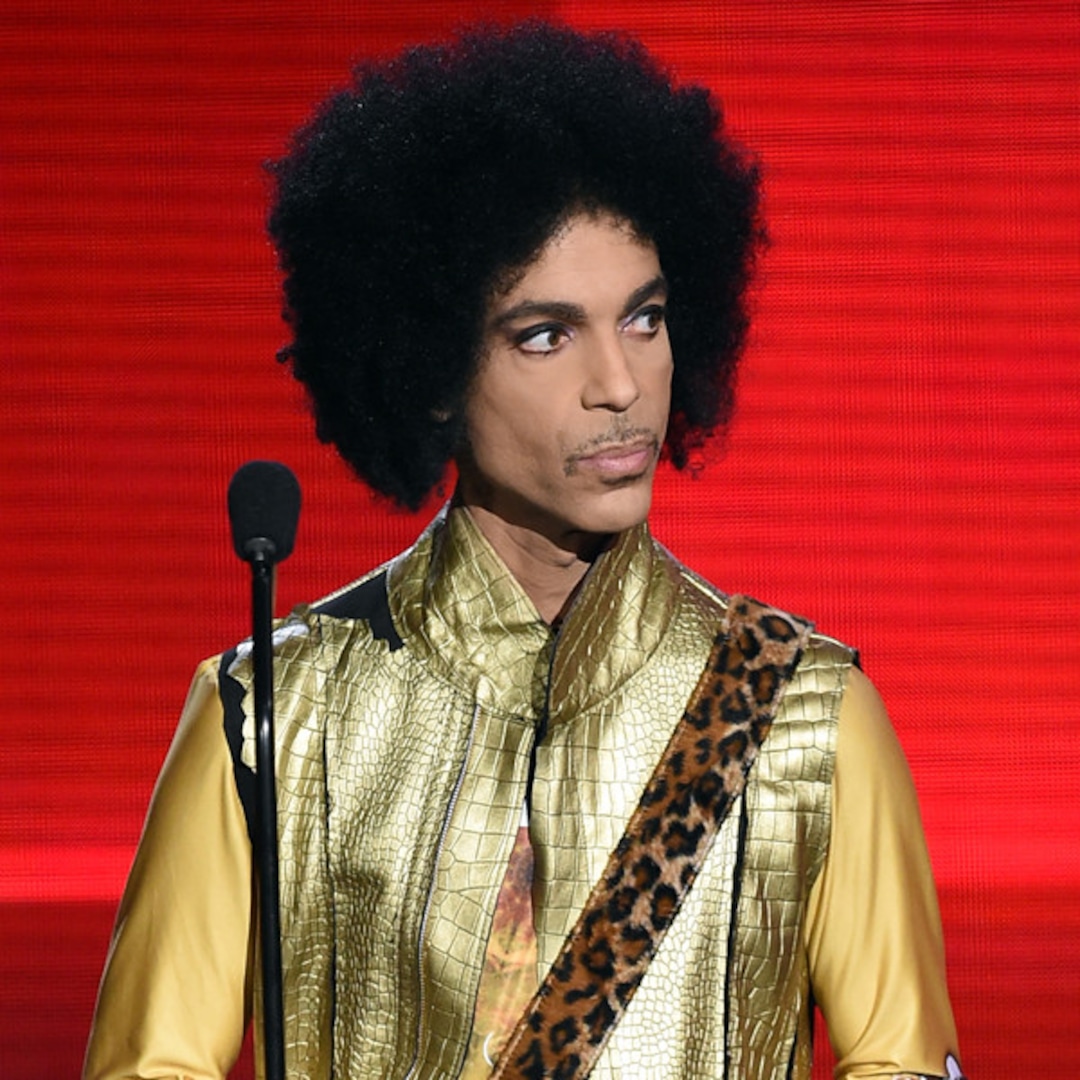 Photos From Fascinating Facts About Prince E Online